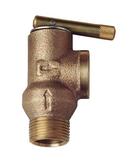 AGF Manufacturing Bronze MIPT x FIPT 175# Pressure Relief Valve 