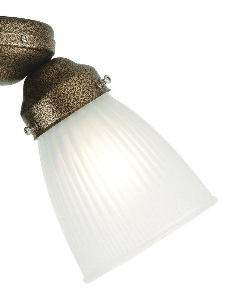 Fanimation WFRI Glass FAN SHADE 