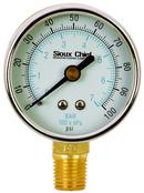 1/4 x 2 in. 100 psi Steel MPT Pressure Gauge