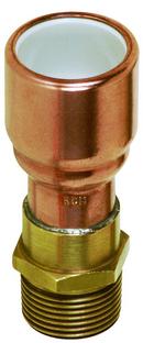 2 in. Male x PVC Socket FTG Copper Adapter