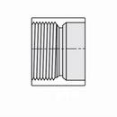 Spirax Sarco Bronze NPT 600# 450F Relief Valve 