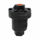 1/2 in. 200# NPT Cast Iron Thermostat Air Vent