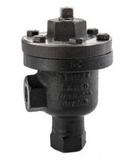 Spirax Sarco NPT Ductile Iron Steam Air Vent 