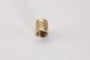 C&D Valve Flare Brass Cap 