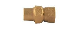 2 in. Flared x FIPT Brass Coupling