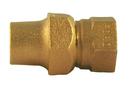 3/4 in. Flare x FIPS Brass Coupling