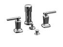 KOHLER Polished Chrome Vertical Spray Bidet Faucet with Double Lever Handle 
