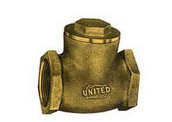 1 in. Bronze Threaded Swing Check Valve