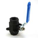 Jamesbury Carbon Steel Standard Port Threaded 4500# Ball Valve 