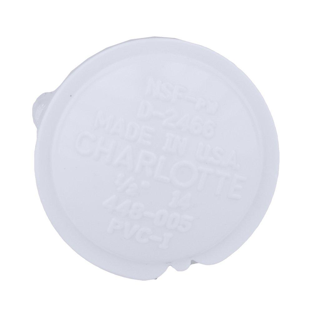 White PVC Schedule 40 FPT Cap 
