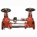 Ames Fire & Waterworks Stainless Steel Flanged Backflow Preventer 
