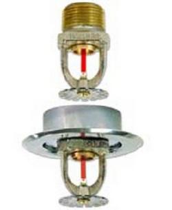 3/4 in. 155F 8K Extended Coverage and Pendent Sprinkler Head in Signal White