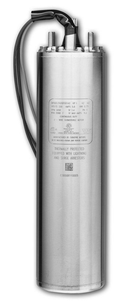Pentair Silver 230 V Single Phase 3-Way Submersible Motor 