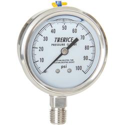 2-1/2 x 1/4 in. 0-200 psi ASME B40.100 Stainless Steel Filled Pressure Gauge in Silver
