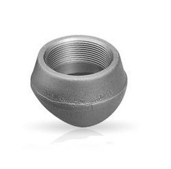 36 - 1/2 x 0.25 in. NPT 316L Stainless Steel Threadolet