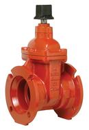 2 in. Mechanical Joint Ductile Iron 250# Resilient Wedge Gate Valve