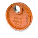 Iowa Fittings Grooved x FIPS Schedule 40 Carbon Steel Drain Cap 