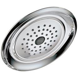 Single Function Showerhead in Chrome