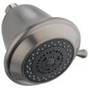 Multi Function Showerhead in Stainless