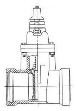 2 in. Push On x IPS Ductile Iron Open Left Resilient Wedge Gate Valve