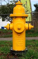 Kennedy Valve Mfg. Flanged, Mechanical Joint and Tyton Joint 5-1/4 in. Assembled Fire Hydrant 