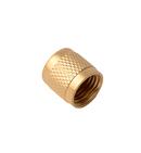 DiversiTech&reg; Brass 1/4FLARE CAP BULK 