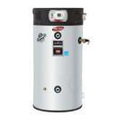 60 gal. 125000 BTU 125 MBH 120V High Efficiency and Tall Stainless Steel Natural Gas and Propane Commercial Water Heater