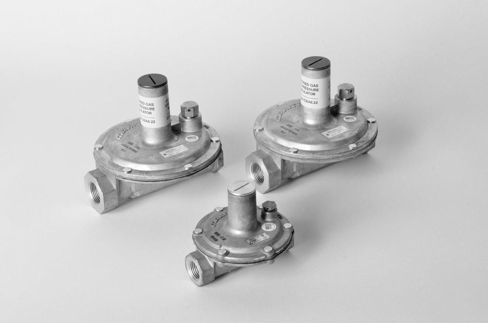 WARDFlex Female Threaded Aluminum Pressure Regulator 