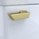 TOTO Polished Brass Trip Lever 