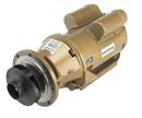 Armstrong Pumps 3/4 in. Bronze Circulator Pump 