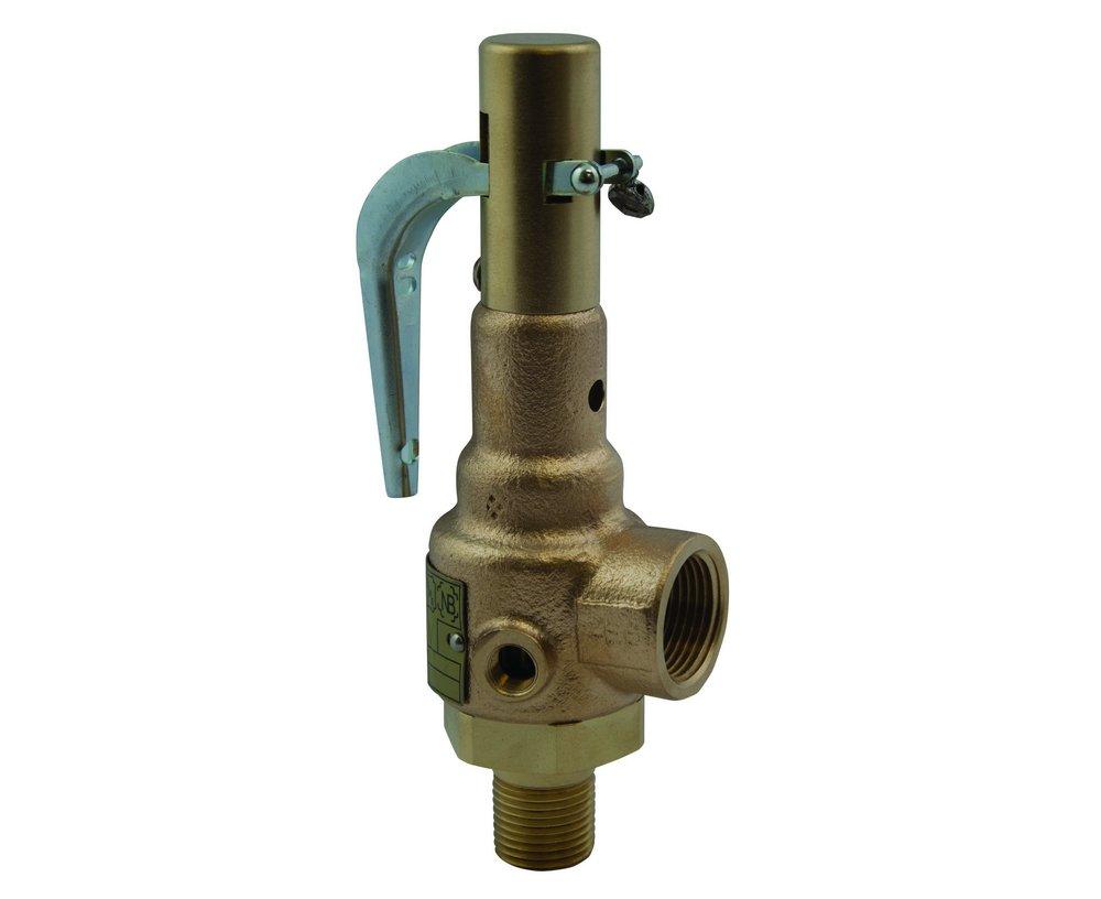 Apollo Valves Bronze Threaded 150# Relief Valve 