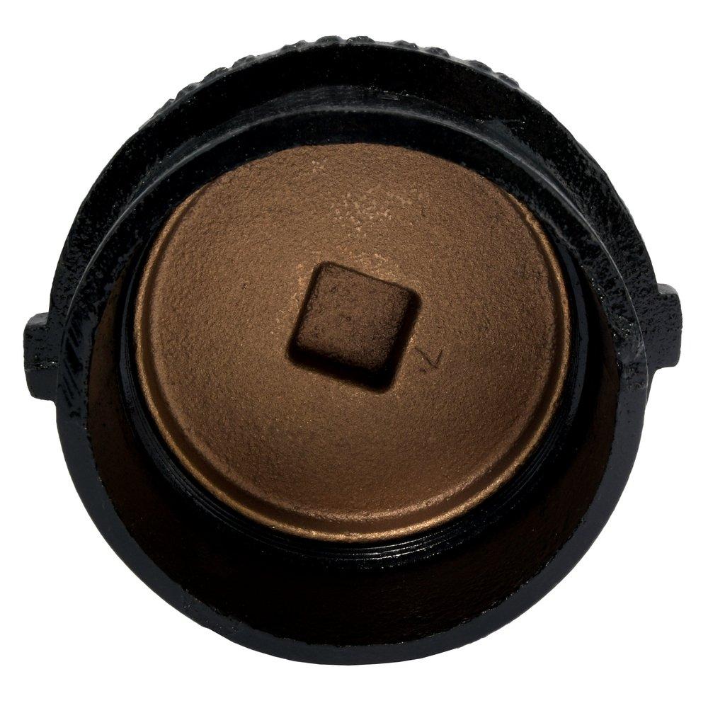 Black No Hub Tapped Ferrule with Southern Raised-Head Brass Plug 