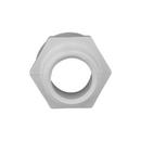 White MPT x Slip Plastic Adapter 