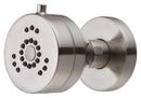 1.5 gpm 2-Function Body Spray in Brushed Nickel