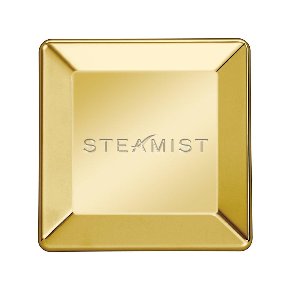 Steamist Polished Brass 12kW Steamhead 