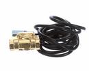 InSinkErator&reg; Solenoid Valve 3/4 in. Plastic 