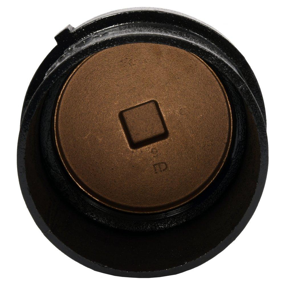 Black No Hub Tapped Ferrule with Southern Raised-Head Brass Plug 