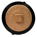 Black No Hub Tapped Ferrule with Southern Raised-Head Brass Plug 