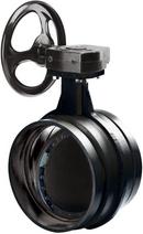 Victaulic Ductile Iron Grooved EPDM Gear Operator Handle Butterfly Valve 