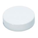 1-1/2 in. PVC Test Cap in White