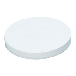 4 in. PVC Test Cap in White