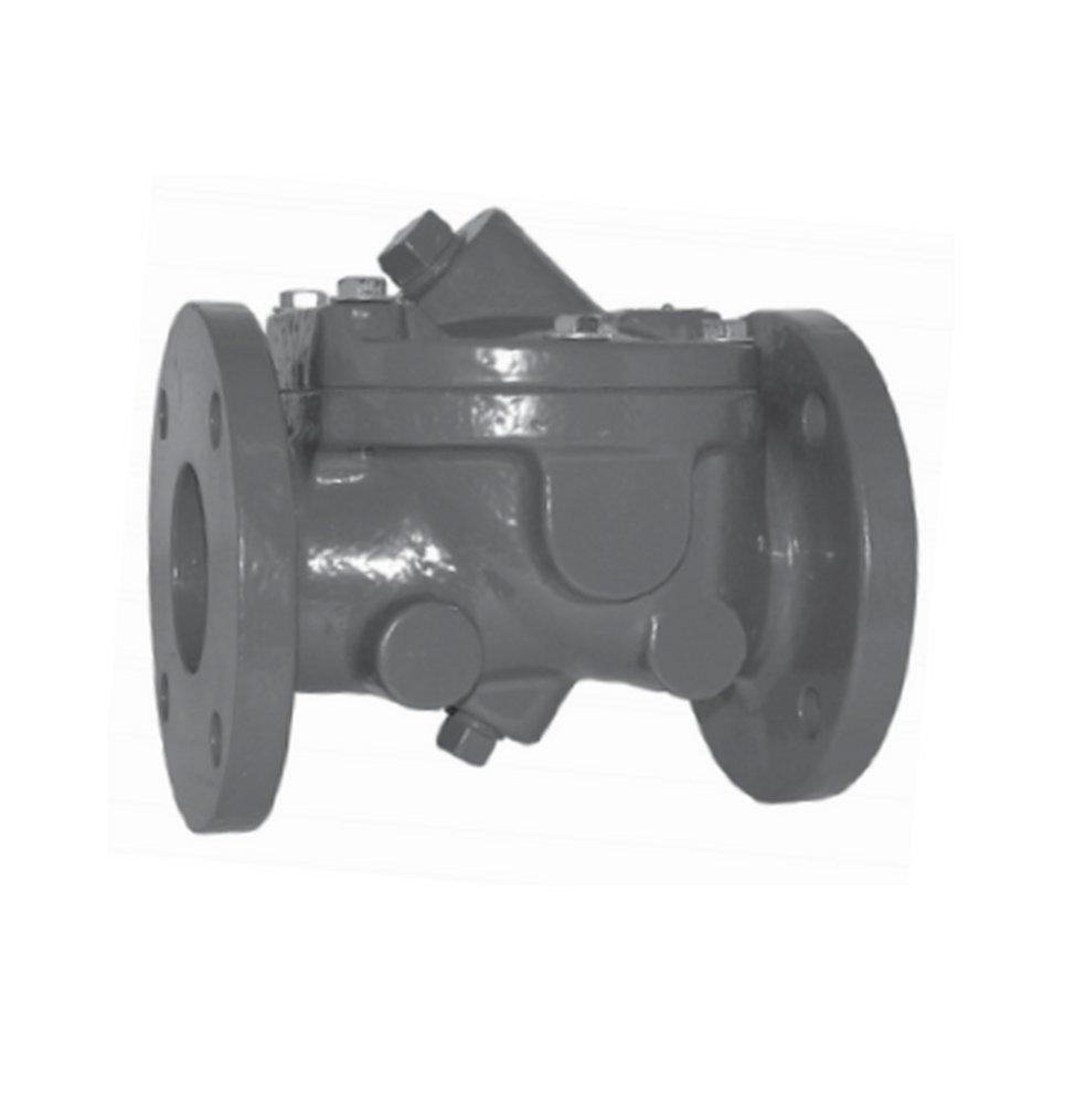 Zoeller Pump Co Flanged Ductile Iron Check Valve 