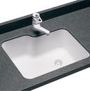 Swan Corporation White Single Bowl Undermount Kitchen Sink 