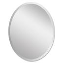 Uttermost Company Polished 36 in. Oval Mirror 