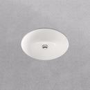 PROFLO&reg; White 15 x 12 in. Undermount Bathroom Sink 