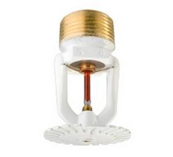 3/4 in. 155F 6.9K Pendent Sprinkler Head in White