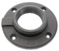 3 in. Threaded 125# Ductile Iron C110 Companion Flange