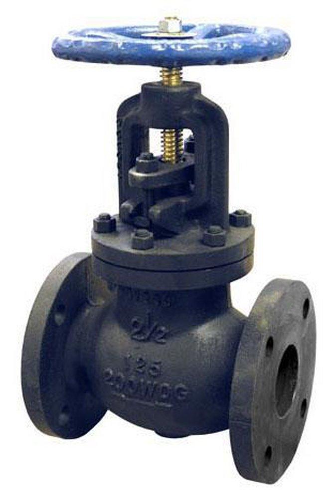 FNW&reg; Cast Iron Flanged Rising Valve Stem Globe Valve 