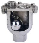 Crispin-Multiplex NPT Cast Iron Pressure Air Release Valve 