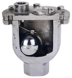 3/4 x 3/8 in. NPT Cast Iron Pressure Air Release Valve